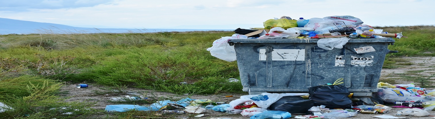 Waste Connections Inc